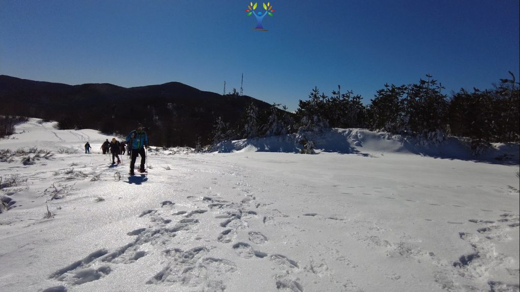 quasi in cima sulla pagliara quasi in cima sulla pagliara