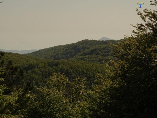 cima-monte-cocuzzo-dalla-sila