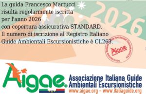 rinnovo guida aigae 2026
